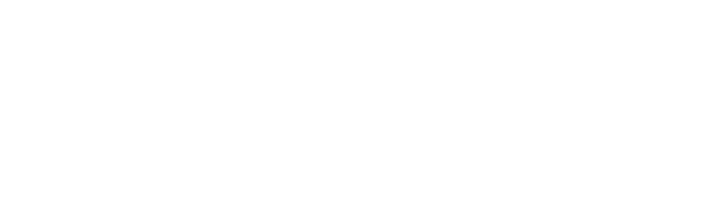 Zalany Logo